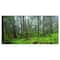 Designart - Hoh Rain Forest - Landscape Photography Canvas Art Print